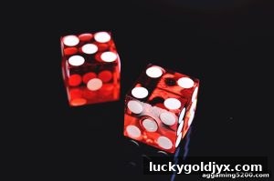 AG真人 luckygoldjyx